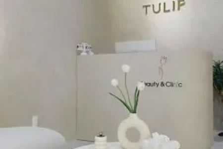 Bảng Báo Giá Thi Công Sơn Đá Hòa Bình Trọn Gói